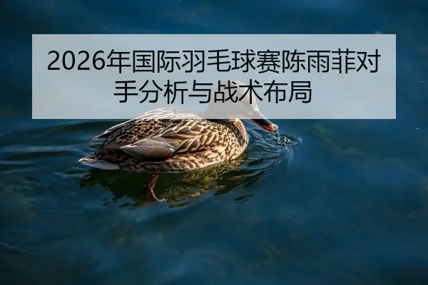 2026年国际羽毛球赛陈雨菲对手分析与战术布局