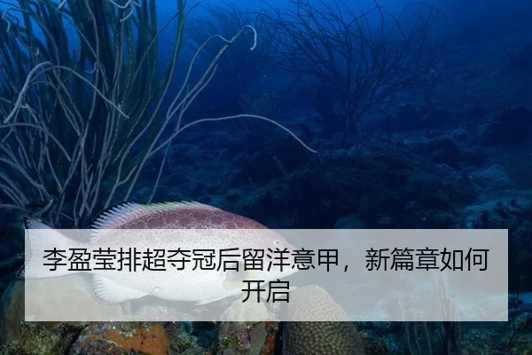 李盈莹排超夺冠后留洋意甲，新篇章如何开启