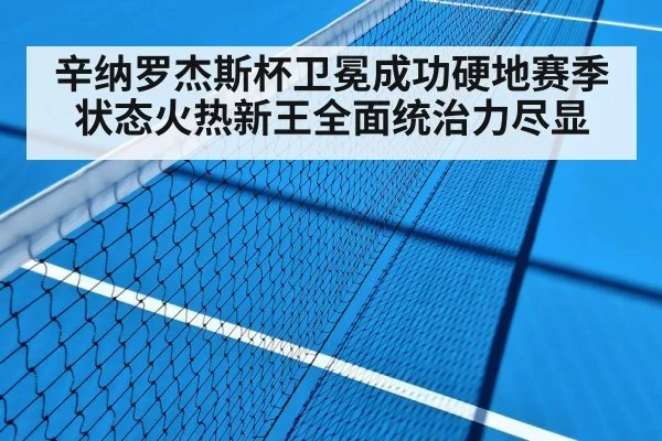 tennis hard court match
